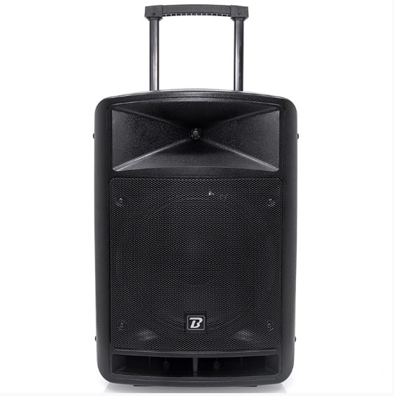 BOXA PORTABILA 12''/30CM + TWEETER 250W BT/USB/FM/SD + 2MIC VHF