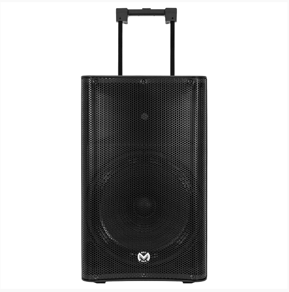 BOXA PORTABILA 15''/38CM 300W RMS TWS CU BT/USB + 2 MIC WIRELESS