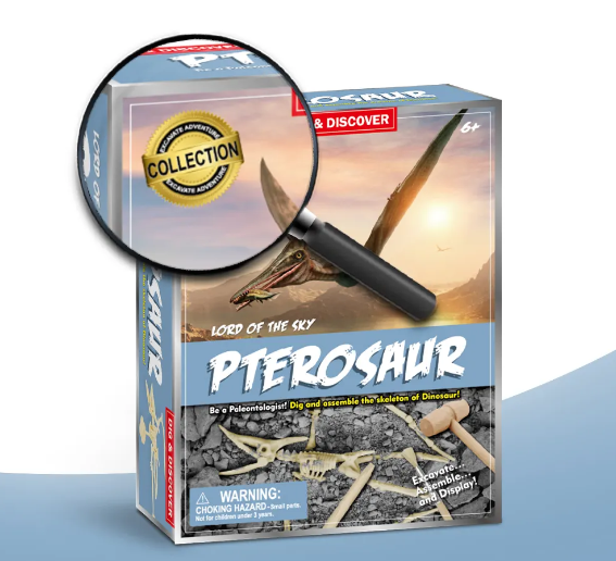DigKit Set Educațional Pliosaurus - Descoperă Monstrul Marin Preistoric