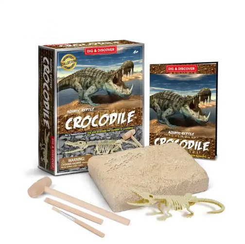 DigKit Set Educațional Crocodil - Excavează și Descoperă Reptila Preistorică